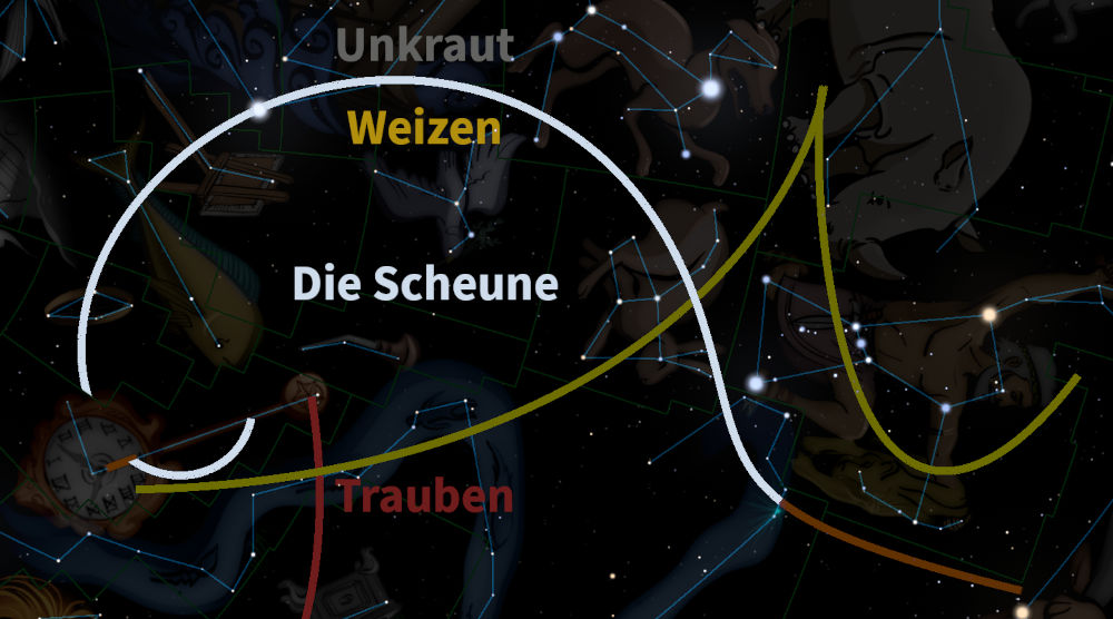 Digitale Darstellung des nächtlichen Himmels mit Sternbildern und Symbolen landwirtschaftlicher Elemente wie Weizen und Trauben. Schematische Linien verbinden verschiedene Sterne, um die Sternbilder zu formen, die in Verbindung mit grundlegenden agrarischen Begriffen wie "Die Scheune", "Weizen", "Unkraut" und "Trauben" stehen.