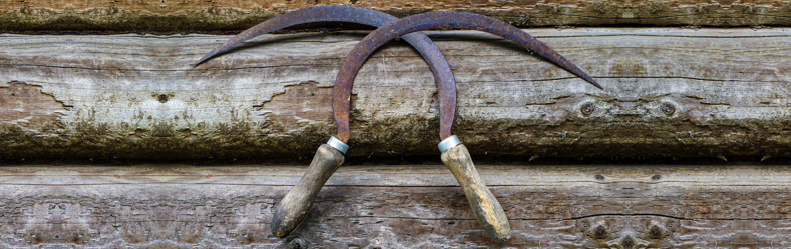 Dos herramientas curvas de metal rústico con mangos de madera desgastados descansan sobre un tronco de madera envejecido, mostrando signos de desgaste y texturas orgánicas.