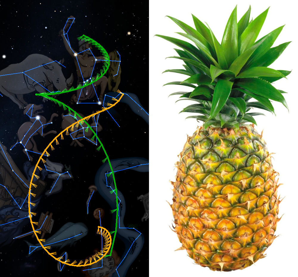 On the left, an artistic representation of constellations mapped onto a figure resembling an archer, surrounded by other stylized celestial patterns and figures within a starry night sky. On the right, a close-up image of a ripe pineapple with detailed texture on its skin and a healthy, green crown of leaves.