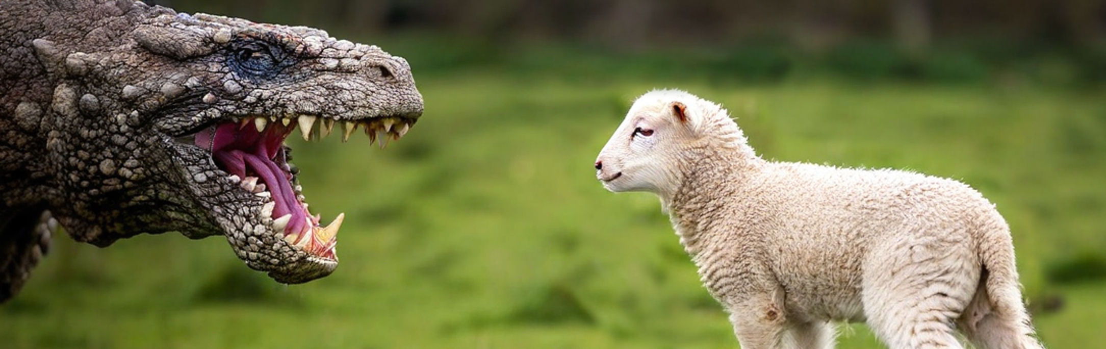 A fantastical portrayal of a large reptilian creature, its scales detailed and jaw agape, facing a serene sheep on a lush green background. This contrasts archaic ferocity with pastoral calm, evoking the ancient battles recorded in timeless scriptures.