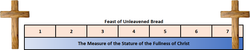 An illustrative chart showing a week of the Feast of Unleavened Bread, each day numbered from 1 to 7 in individual cells under a broad header. At the base, a caption reads "The Measure of the Stature of the Fullness of Christ," framed between two wooden crosses at either end.