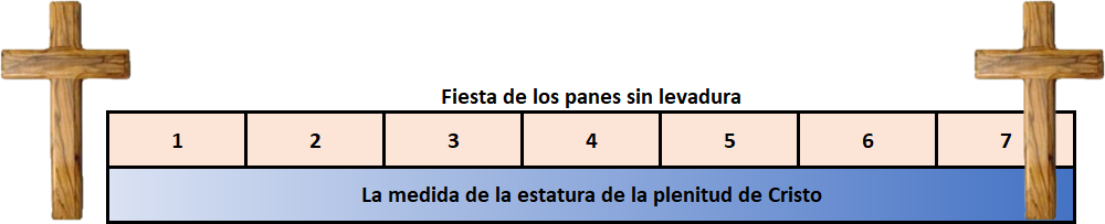 Imagen que muestra dos cruces de madera a los extremos de una tabla dividida en siete compartimientos con números del 1 al 7. Sobre la tabla se lee "Fiesta de los panes sin levadura" y debajo "La medida de la estatura de la plenitud de Cristo".